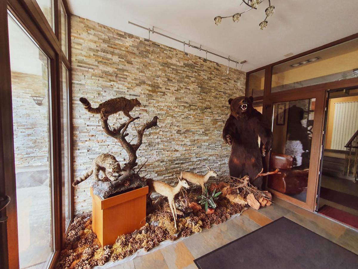 Hotel Belvedere Совата Экстерьер фото
